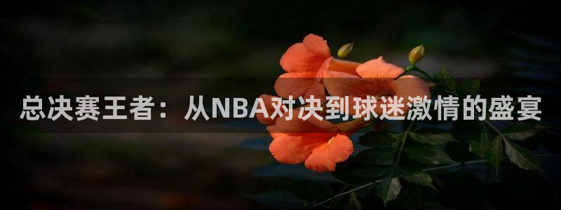 jytv02 鲸鱼体育直播：总决赛王者：从NBA对决到球迷激情的盛宴