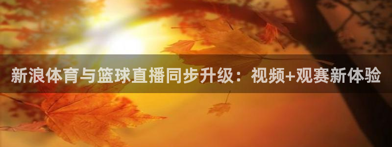 鲸鱼体育app官方下载最新版：新浪体育与篮球直播同步升级：视频+观赛新体验