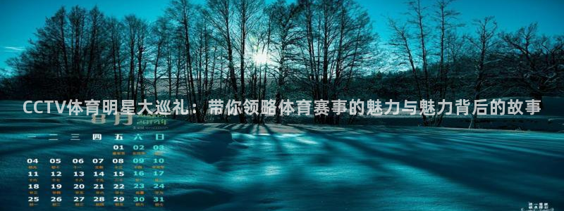 鲸鱼体育app免费下载：CCTV体育明星大巡礼：带你领略体育赛事的魅力与魅力背后的故事