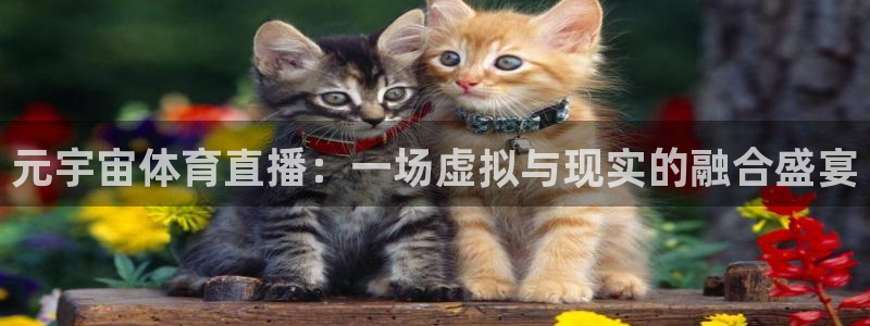鲸鱼体育app：元宇宙体育直播：一场虚拟与现实的融合盛宴
