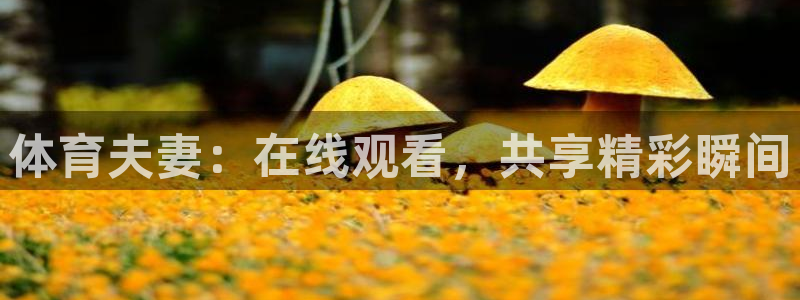 鲸鱼直播官网：体育夫妻：在线观看，共享精彩瞬间