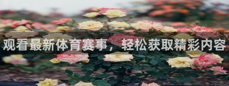 cc35tv鲸鱼体育：观看最新体育赛事，轻松获取精彩内容