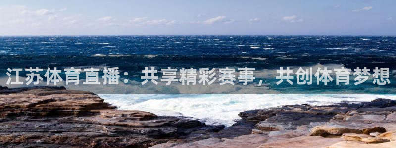鲸鱼体育怎么看直播：江苏体育直播：共享精彩赛事，共创体育梦想