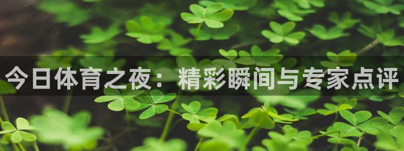 鲸鱼体育app官方入口：今日体育之夜：精彩瞬间与专家点评