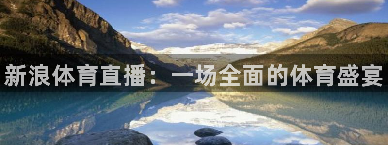 鲸鱼体育在线直播nba：新浪体育直播：一场全面的体育盛宴